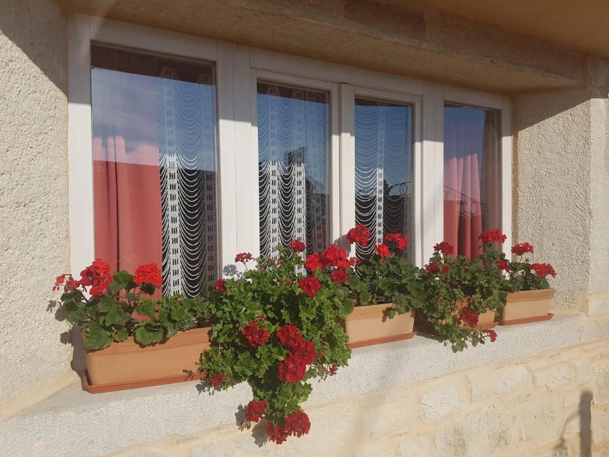 Casa Ladonja Vila Poreč Exterior foto